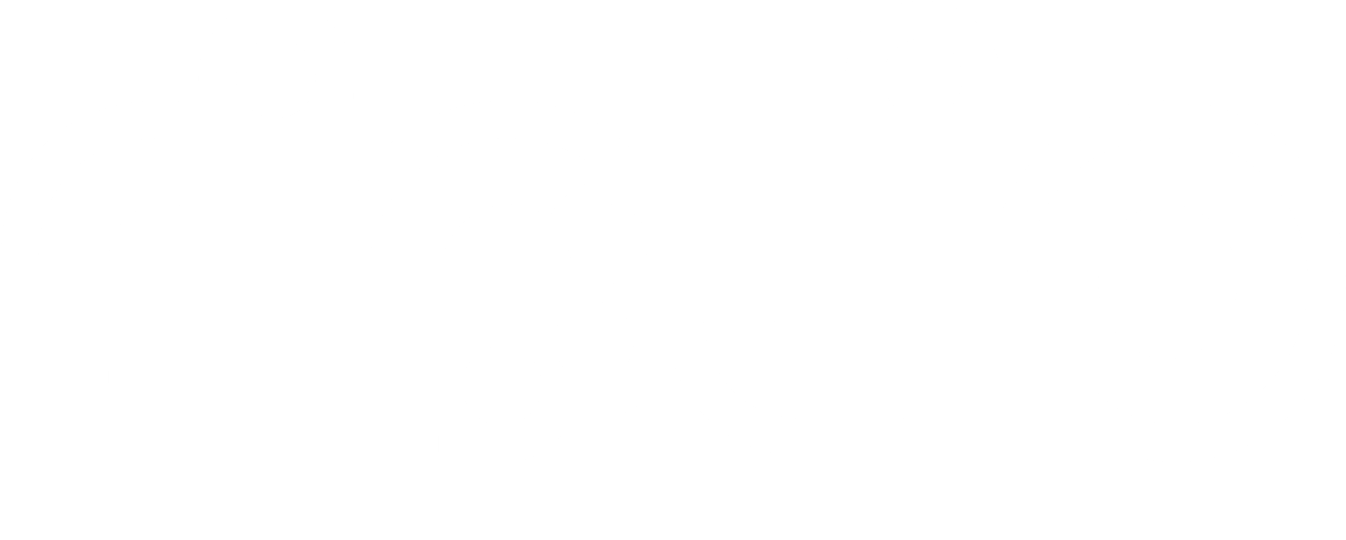 RipTip solid logo, white, on dark background
